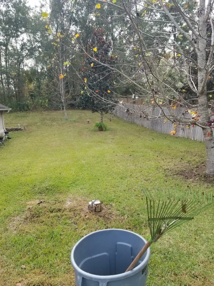 Top-rated yard cleanup service experts serving Fort White, FL - Heaven On Earth Landscapes