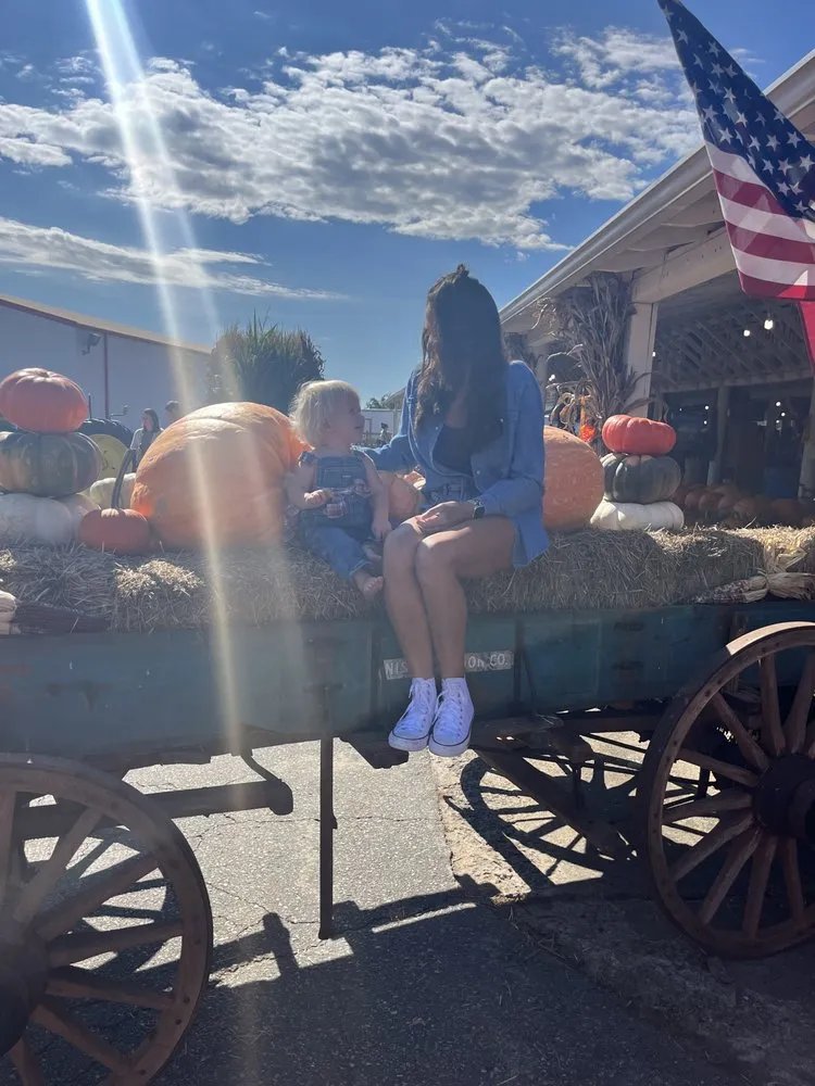 Affordable landscaping services for beautiful yards across Inman, SC - Heaven Scent