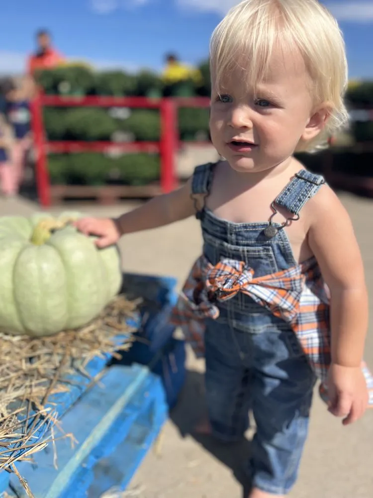 Custom garden landscaping experts serving Inman, SC - Heaven Scent