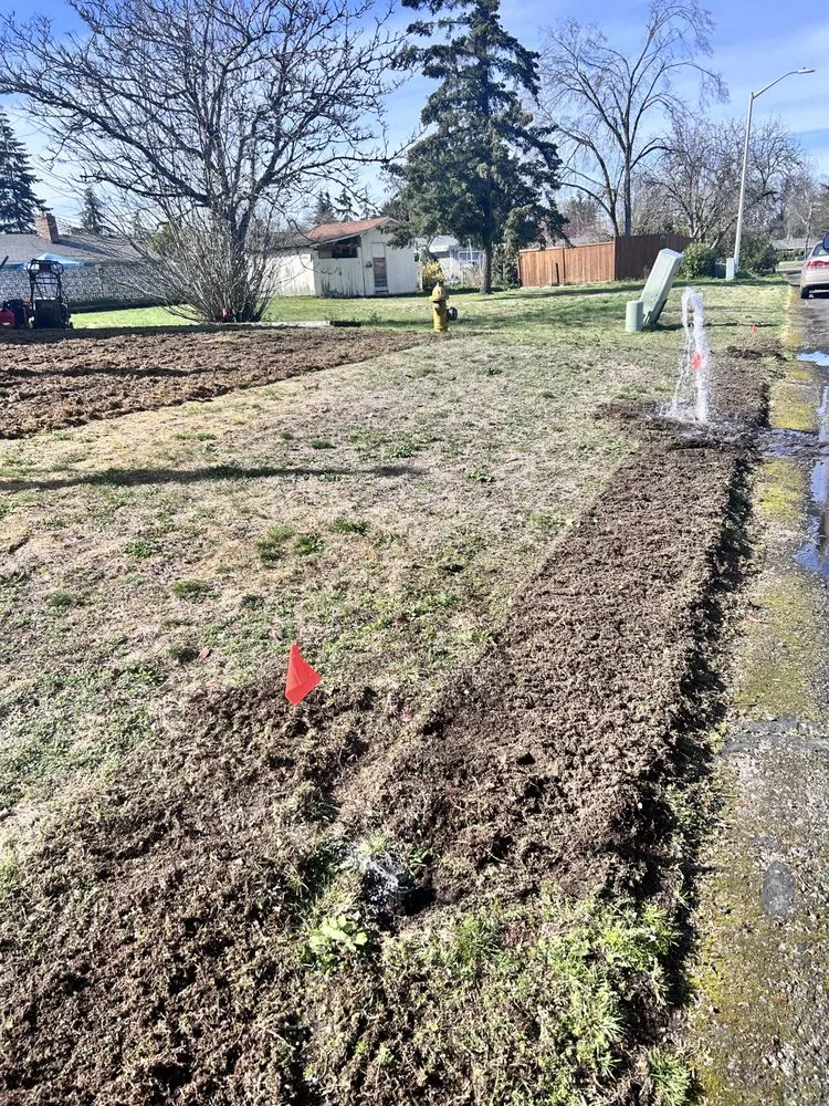 Reliable residential landscaping in Tacoma, WA by Heaven Seed Landscaping