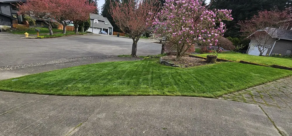 Professional garden landscaping in Tacoma, WA - Heaven Seed Landscaping