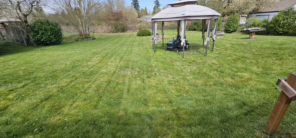 Reliable landscaping services in Tacoma, WA - Heaven Seed Landscaping