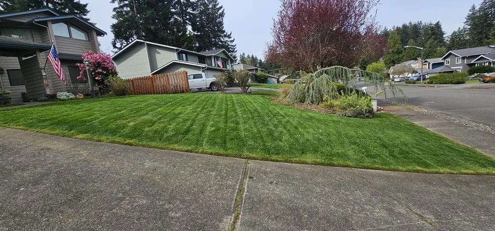 Local outdoor landscaping experts serving Tacoma, WA - Heaven Seed Landscaping