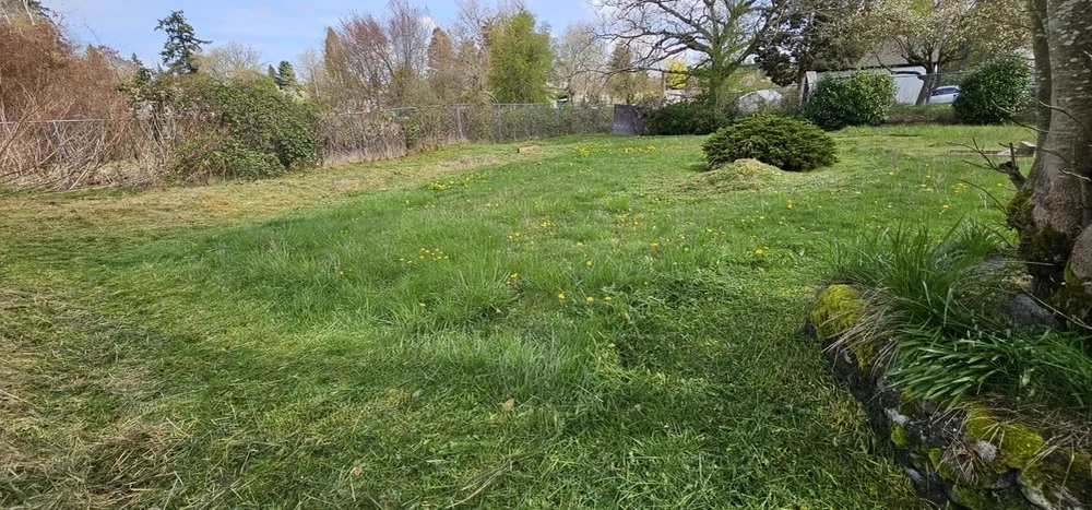 Affordable yard cleanup service in Tacoma, WA by Heaven Seed Landscaping