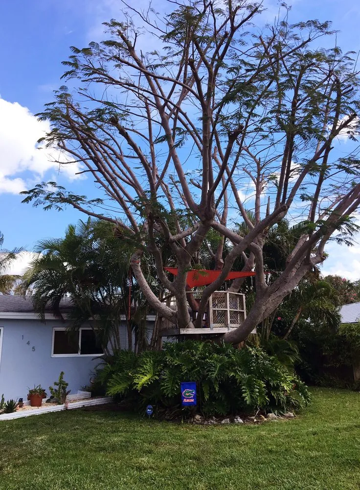 Affordable landscaping services in Delray Beach, FL - Heaven Sent Lawn & Landscaping