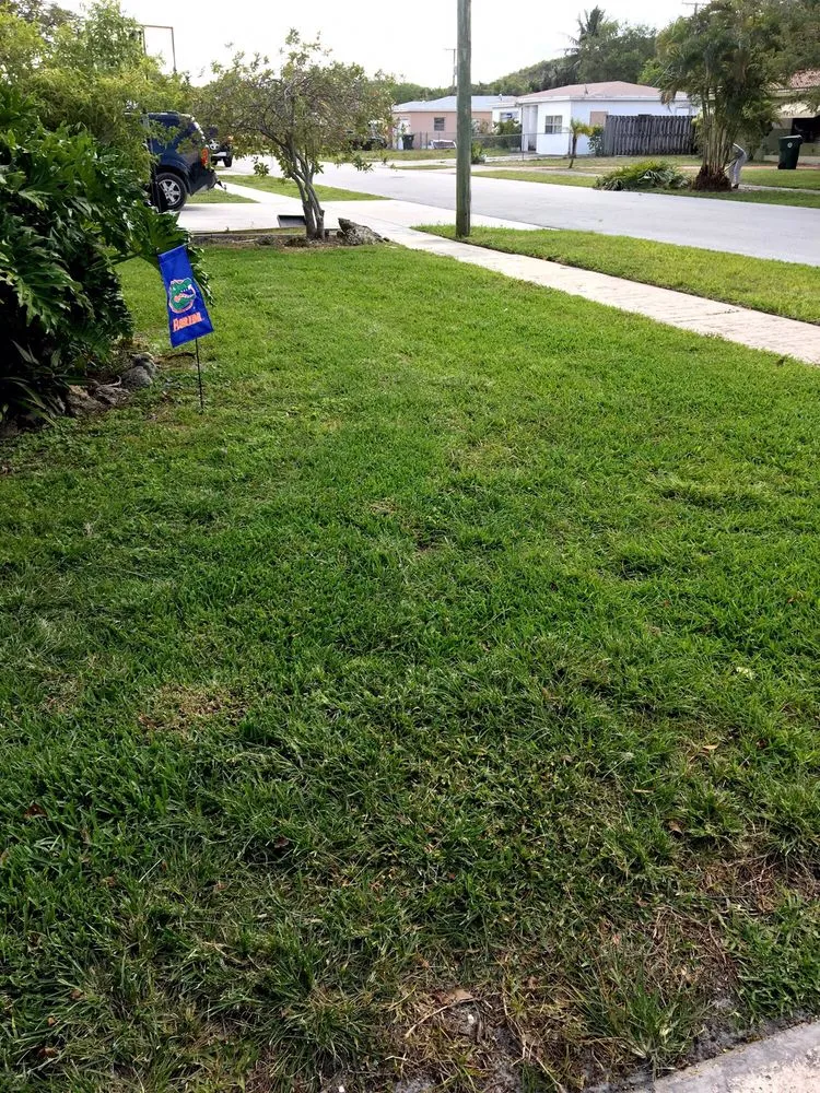 Trusted yard maintenance for outdoor upgrades across Delray Beach, FL - Heaven Sent Lawn & Landscaping