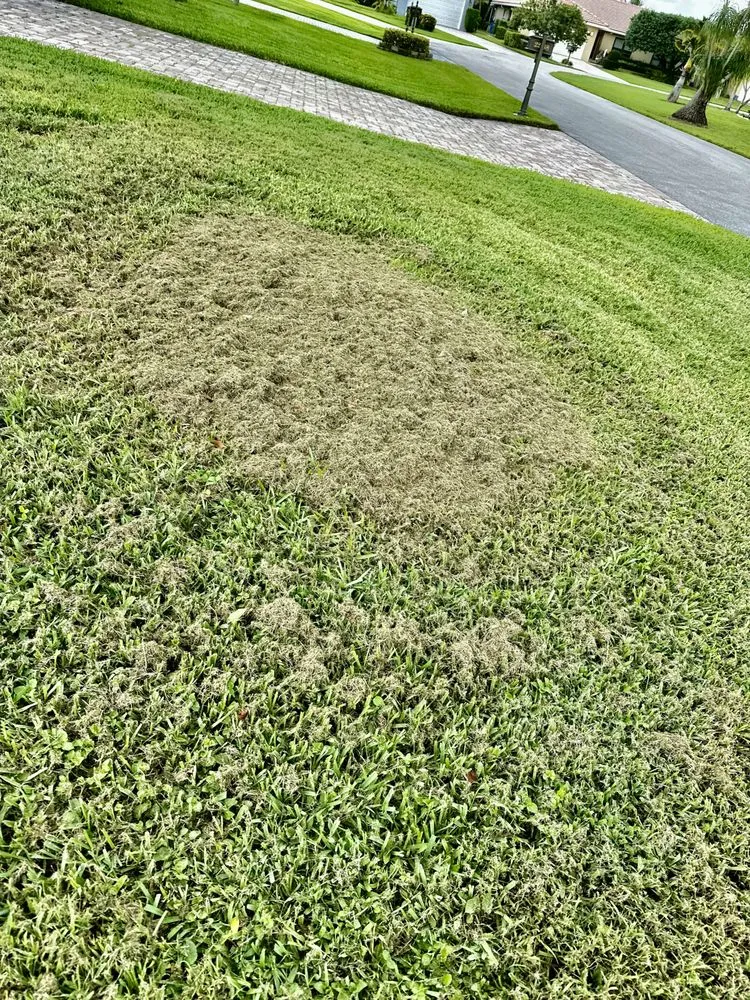 Professional garden landscaping in Delray Beach, FL by Heaven Sent Lawn & Landscaping