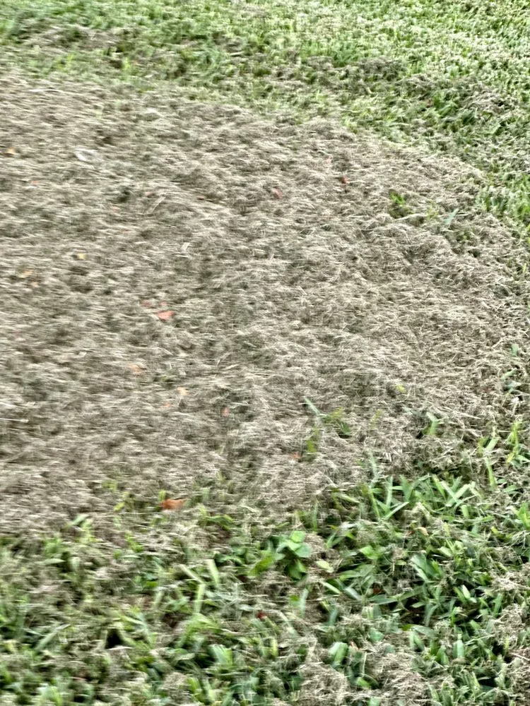 Top-rated outdoor landscaping experts serving Delray Beach, FL - Heaven Sent Lawn & Landscaping