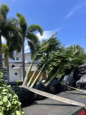 Heaven Sent Lawn & Landscaping Logo