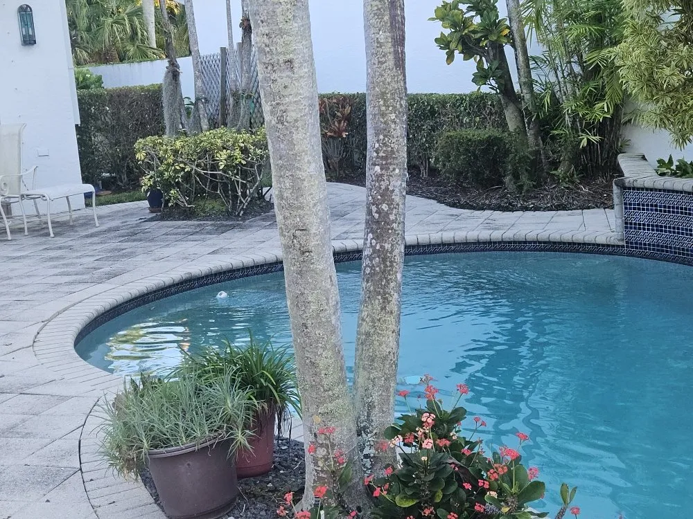 Reliable outdoor landscaping for homes in Port Charlotte, FL by Heavenly Approach