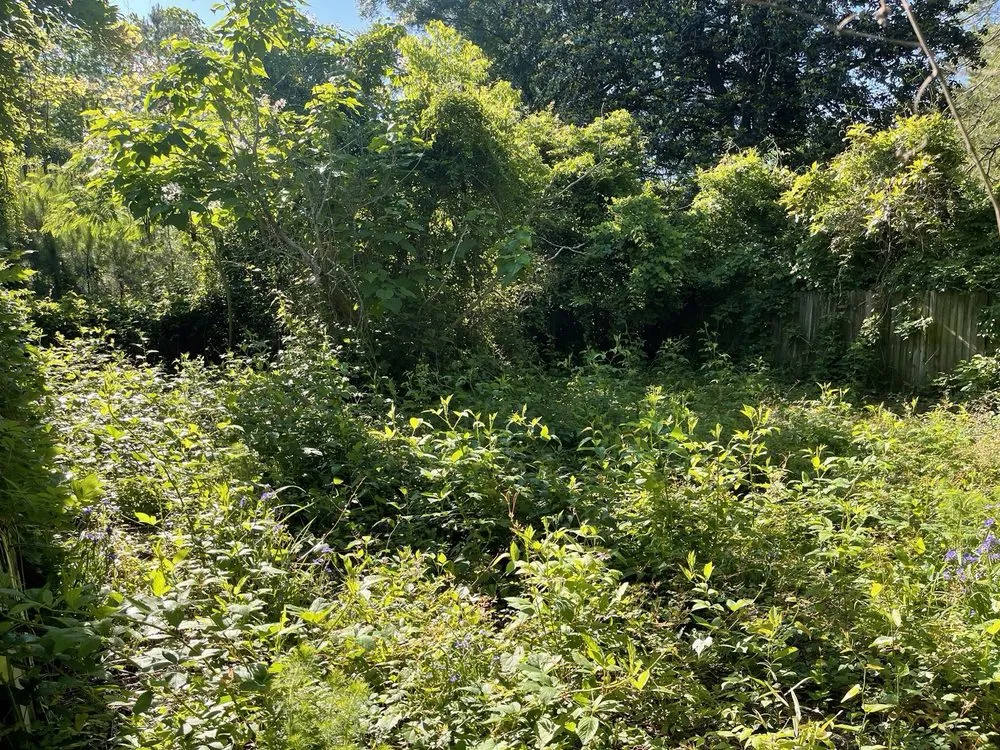 Top-rated garden landscaping in Kinston, NC - Heavenly Cuts Yard Service