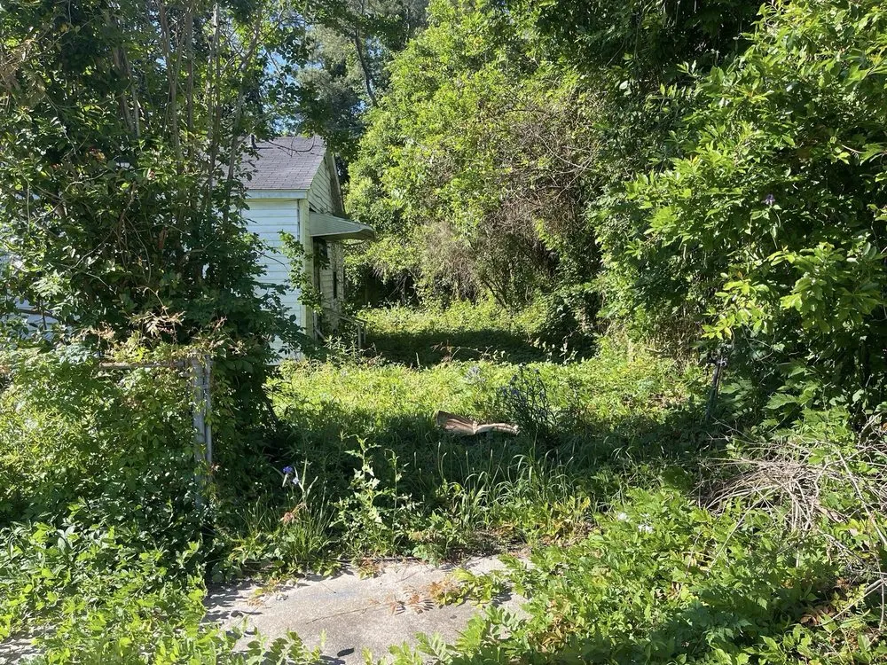 Trusted landscaping services near you in Kinston, NC by Heavenly Cuts Yard Service