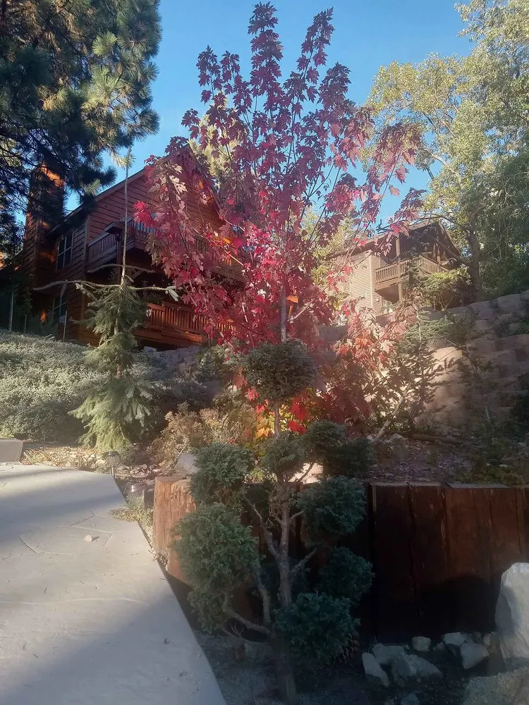 Professional landscape design for year-round maintenance in Rancho Cucamonga, CA by Heavenly Gardens Landscape and Maintenance