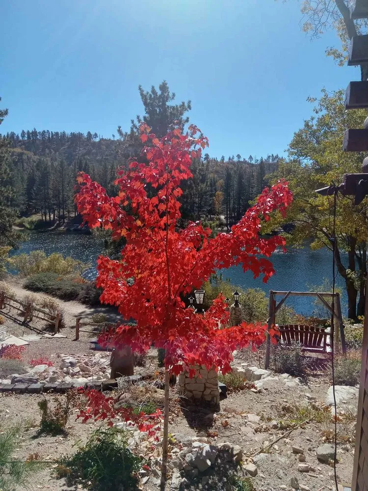 Top-rated landscape design in Rancho Cucamonga, CA by Heavenly Gardens Landscape and Maintenance