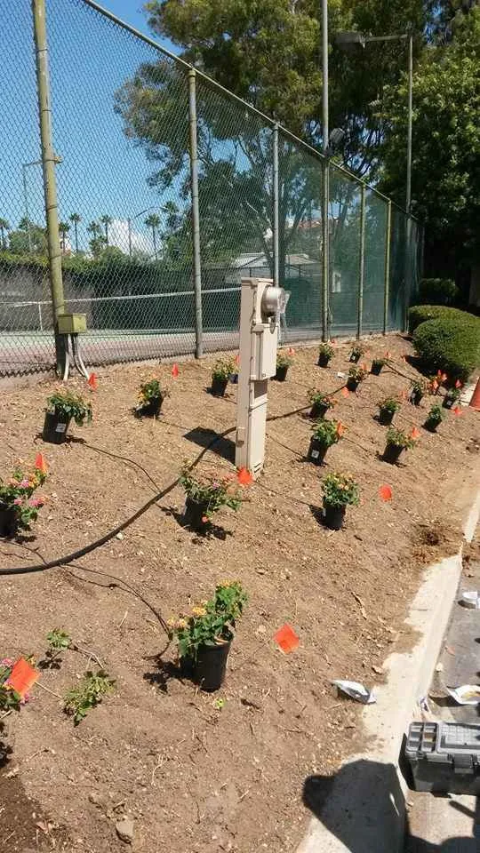 Reliable landscaping services in Rancho Cucamonga, CA by Heavenly Gardens Landscape and Maintenance