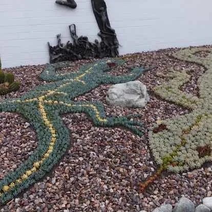 Affordable residential landscaping in Rancho Cucamonga, CA by Heavenly Gardens Landscape and Maintenance