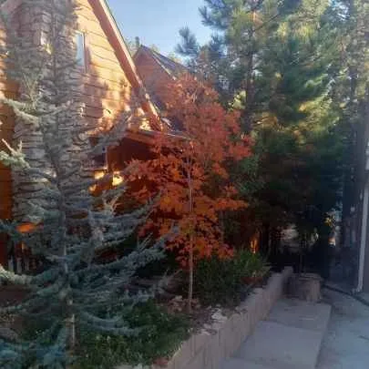 Custom outdoor landscaping in Rancho Cucamonga, CA by Heavenly Gardens Landscape and Maintenance