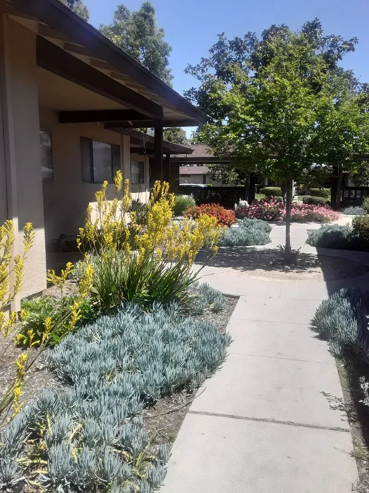 Custom lawn mowing service in Rancho Cucamonga, CA by Heavenly Gardens Landscape and Maintenance