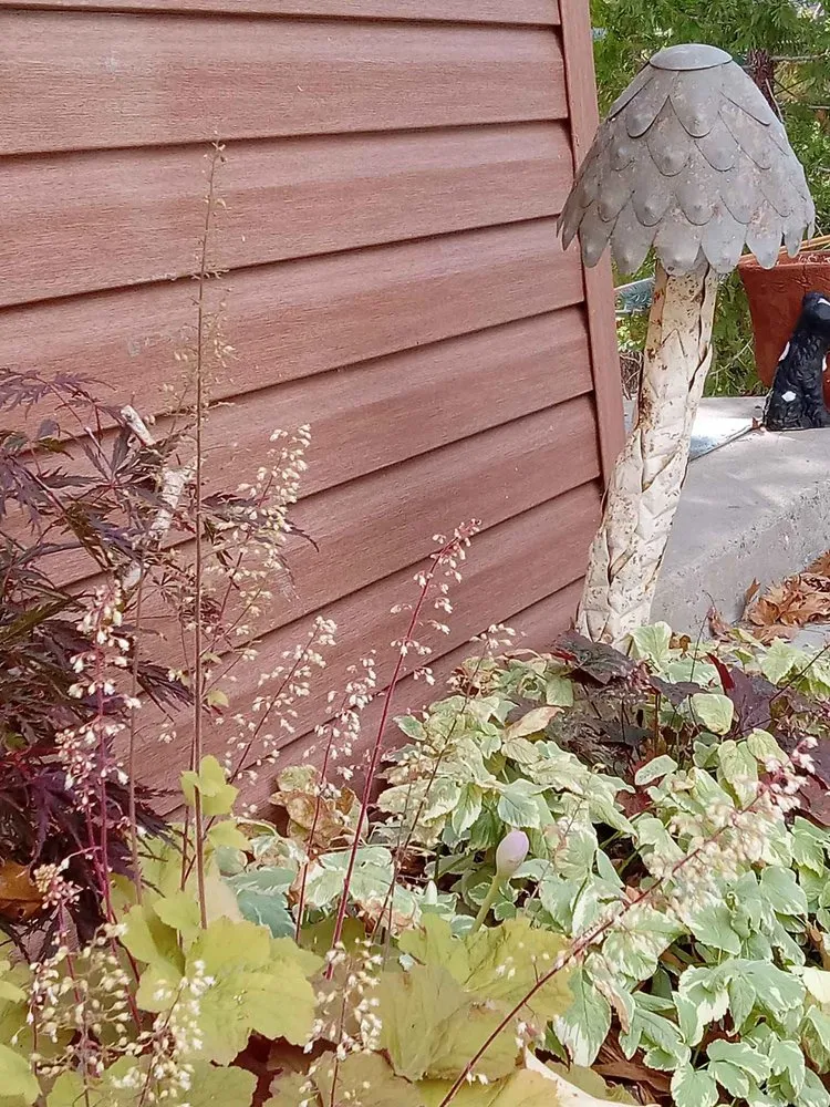 Trusted residential landscaping for outdoor upgrades in Rancho Cucamonga, CA by Heavenly Gardens Landscape and Maintenance