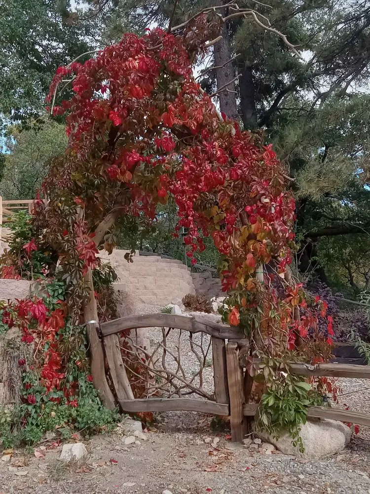 Trusted lawn mowing service in Rancho Cucamonga, CA - Heavenly Gardens Landscape and Maintenance