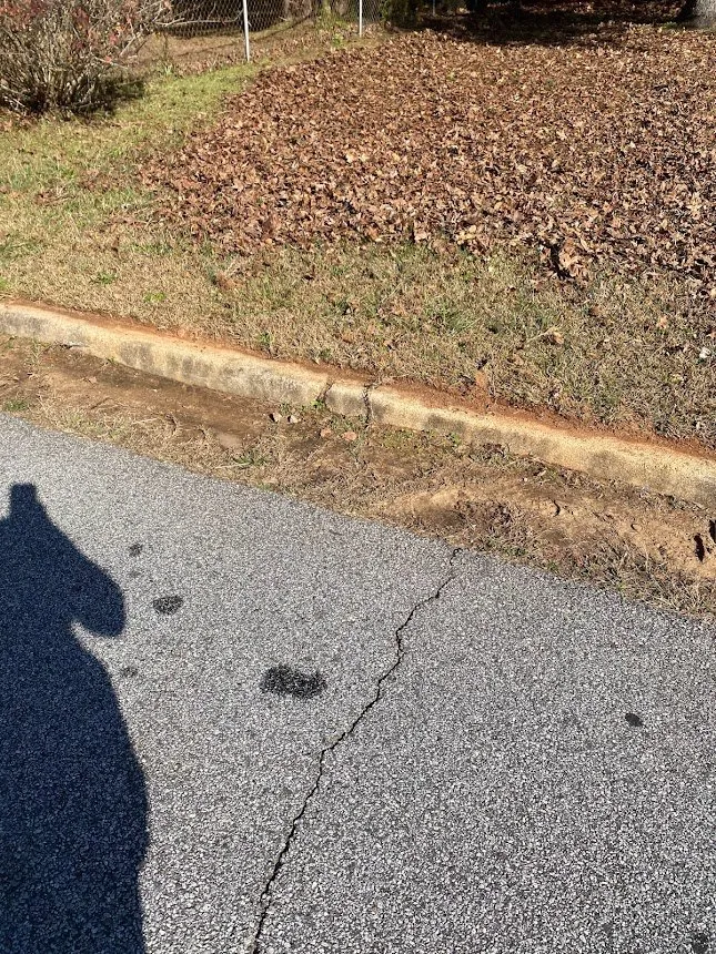 Expert yard maintenance in Jonesboro, GA by Heavenly Green Pasture Lawn Service