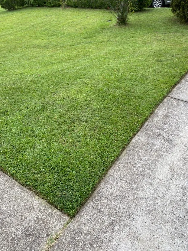 Top-rated landscape installation experts serving Jonesboro, GA - Heavenly Green Pasture Lawn Service