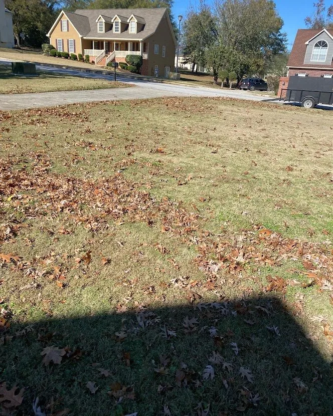 Expert lawn care service in Jonesboro, GA by Heavenly Green Pasture Lawn Service