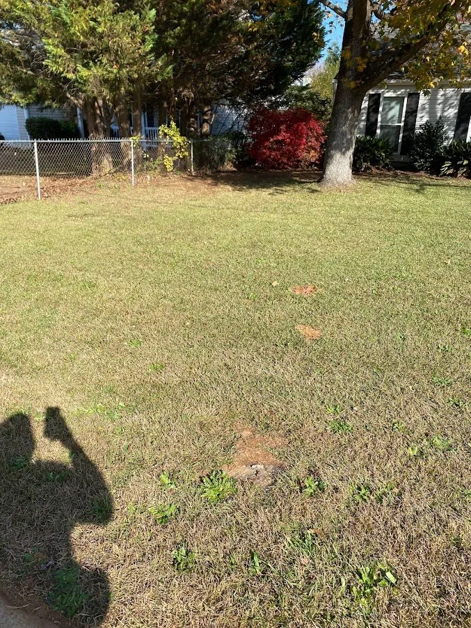 Top-rated lawn care service experts serving Jonesboro, GA - Heavenly Green Pasture Lawn Service