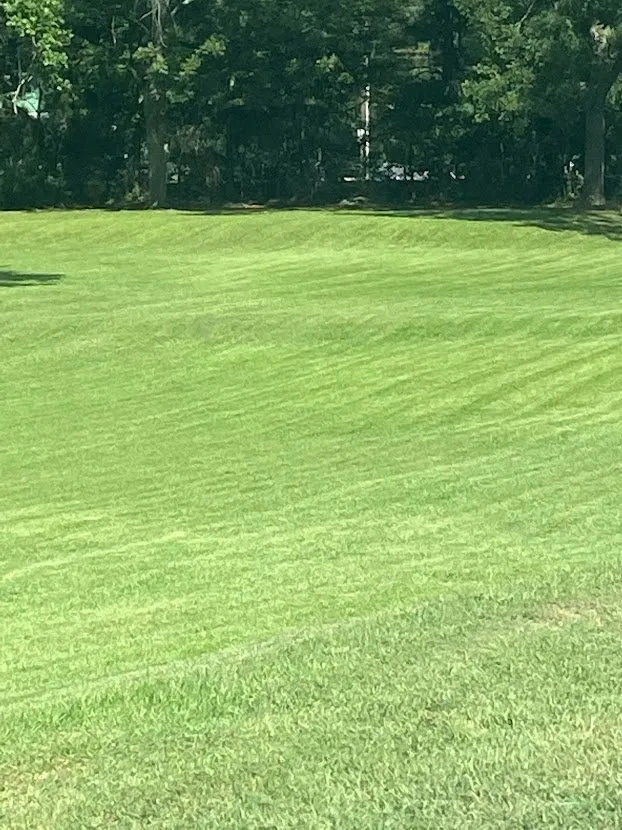 Professional garden landscaping for outdoor upgrades across Jonesboro, GA - Heavenly Green Pasture Lawn Service