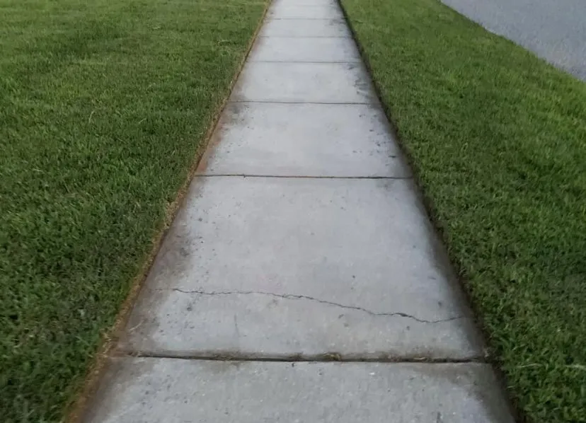 Professional yard cleanup service experts serving Jonesboro, GA - Heavenly Green Pasture Lawn Service