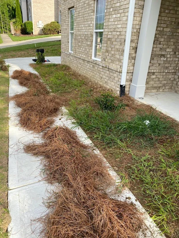 Local outdoor landscaping in Jonesboro, GA - Heavenly Green Pasture Lawn Service