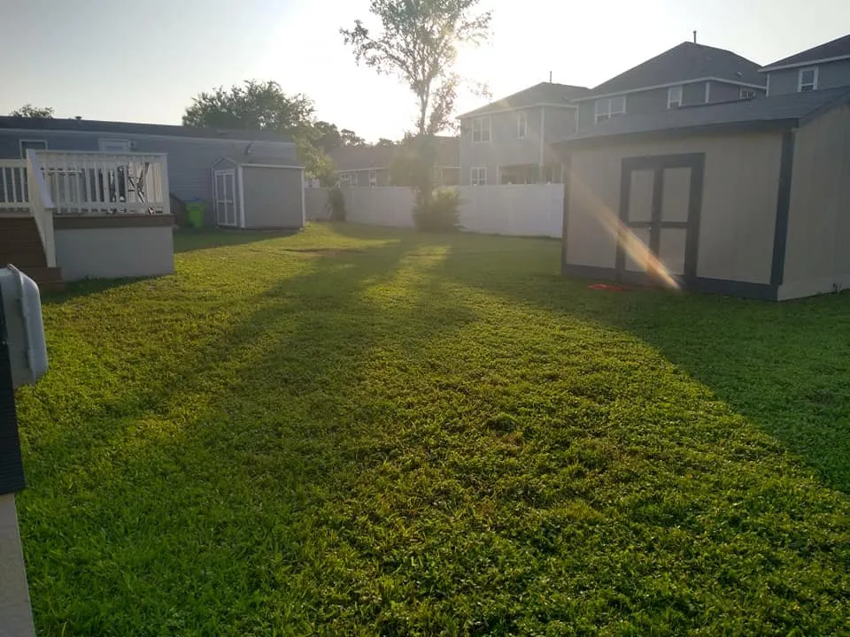 Top-rated yard maintenance in San Antonio, TX by Heavenly Landscapes