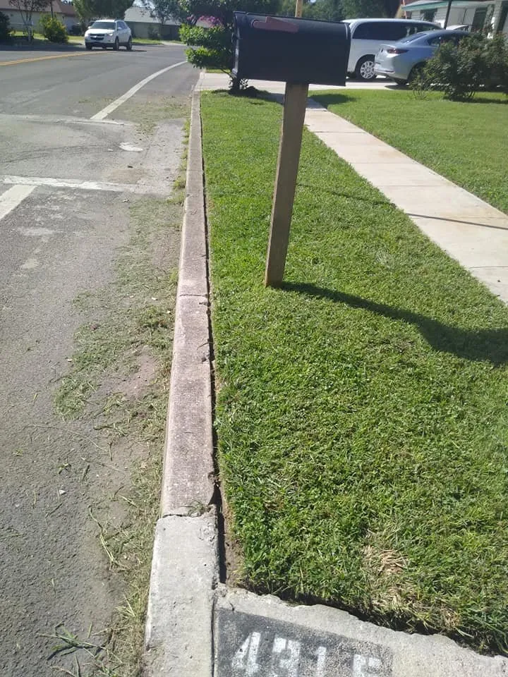 Reliable yard cleanup service in San Antonio, TX by Heavenly Landscapes