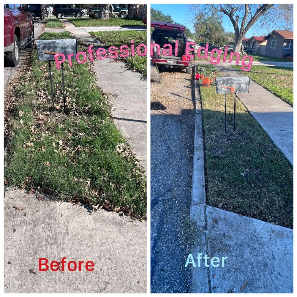 Custom landscape installation in San Antonio, TX by Heavenly Landscapes