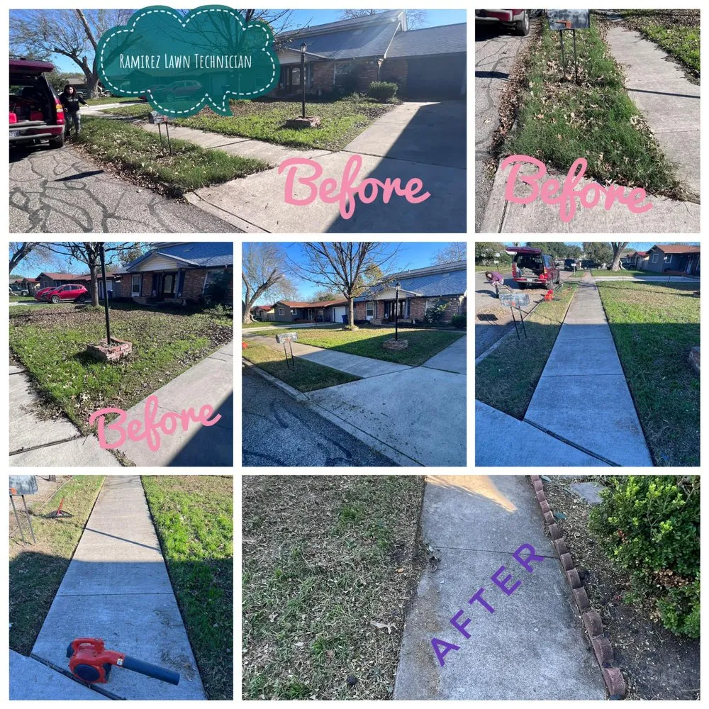 Top-rated yard cleanup service experts serving San Antonio, TX - Heavenly Landscapes