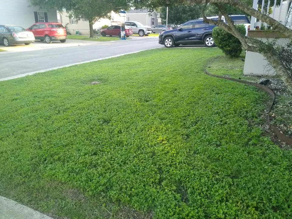 Top-rated landscape design in San Antonio, TX by Heavenly Landscapes