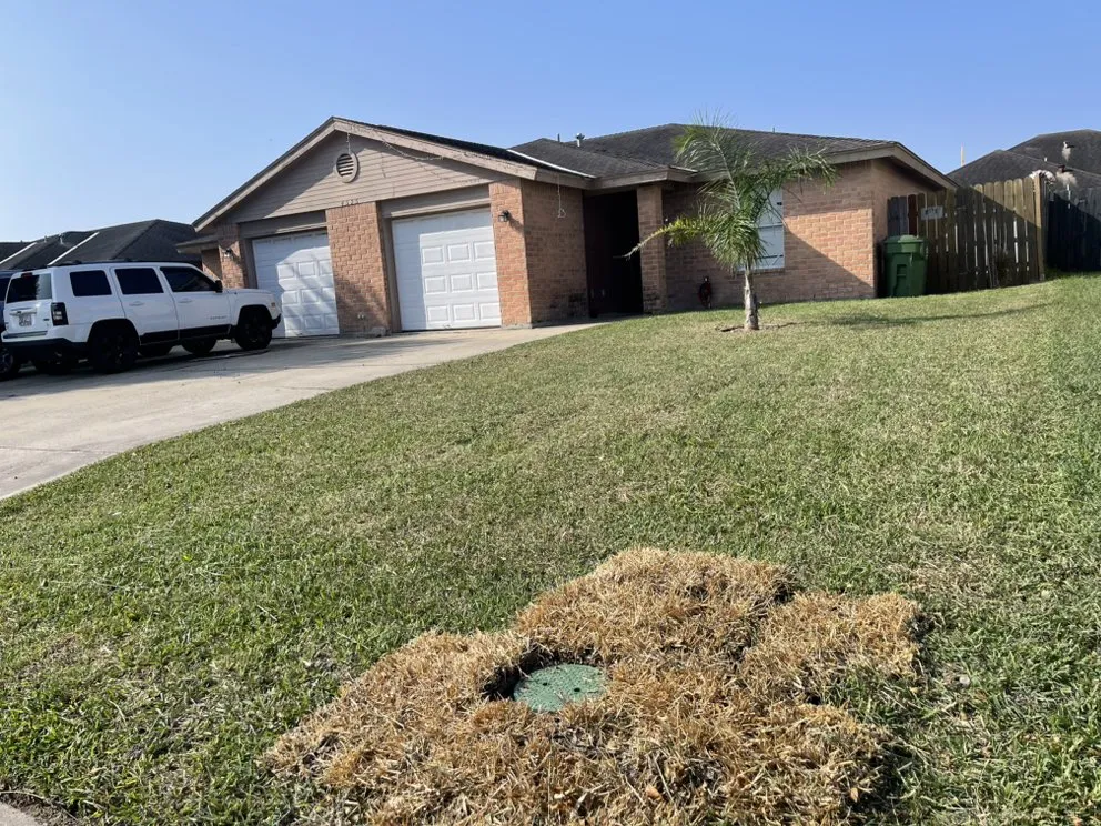 Local yard cleanup service for outdoor upgrades in Combes, TX by Heavenly Lawn Care