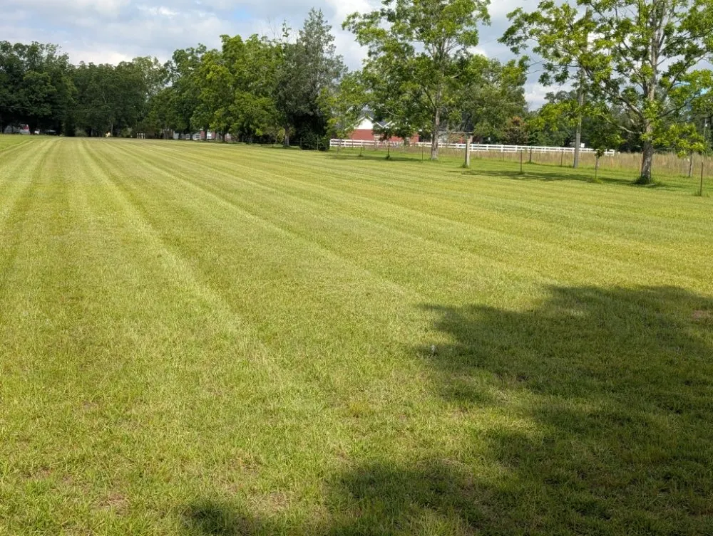 Professional landscaping services for homes across Navarre, FL - Heavenly Lawn Services