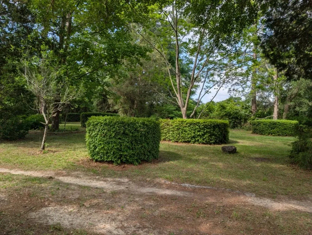 Top-rated landscaping services in Navarre, FL - Heavenly Lawn Services