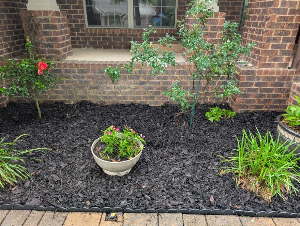 Trusted yard maintenance experts serving Navarre, FL - Heavenly Lawn Services