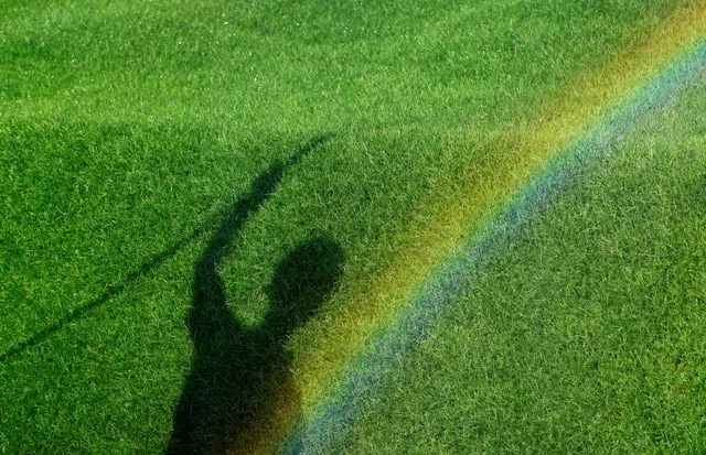 Professional landscape design with custom design in Bellflower, CA by Heavenly Lawns