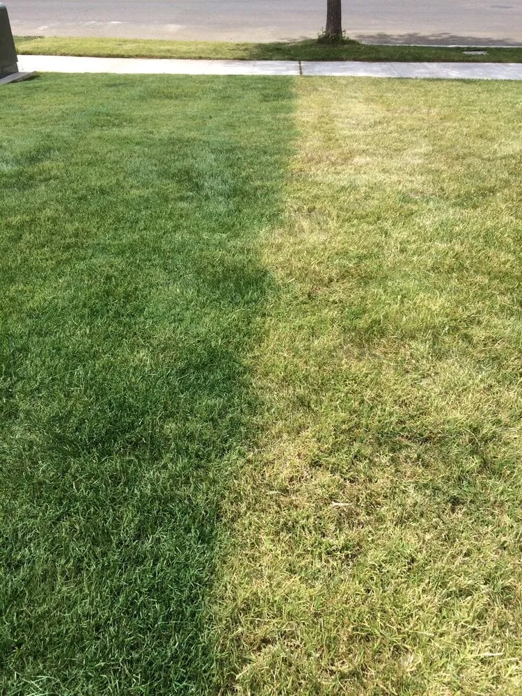 Custom outdoor landscaping for year-round maintenance in Bellflower, CA by Heavenly Lawns