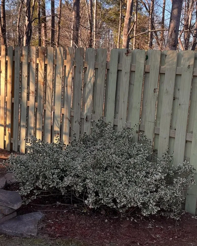 Top-rated residential landscaping experts serving Asheville, NC - Heavenly Scapes