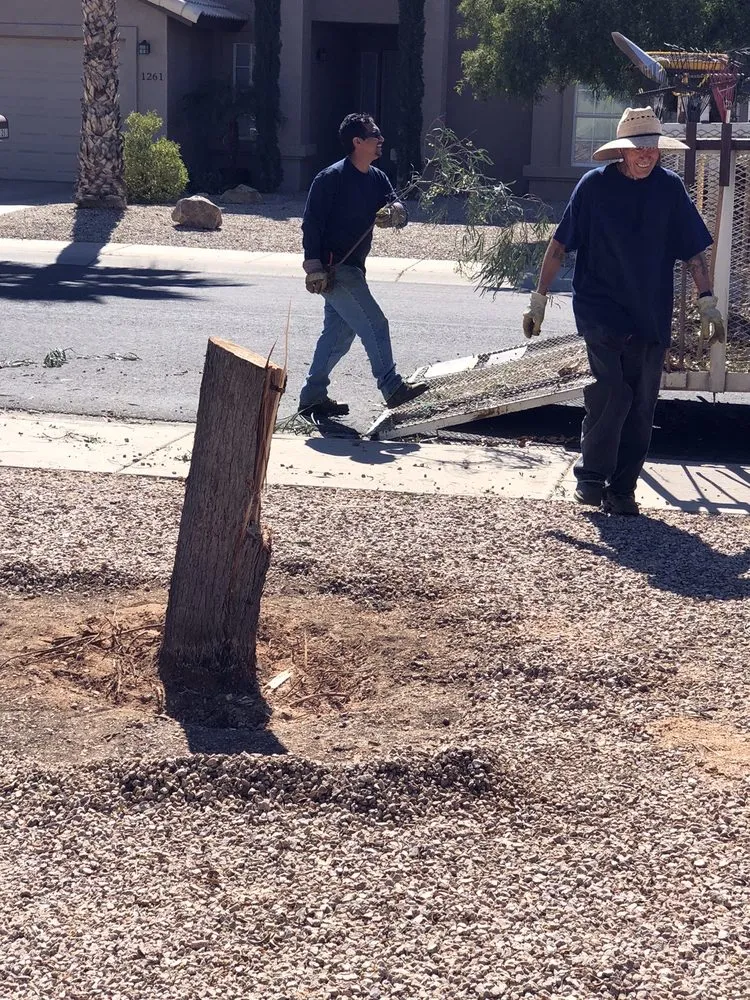 Professional garden landscaping in Casa Grande, AZ - Heavenly Touch Landscaping