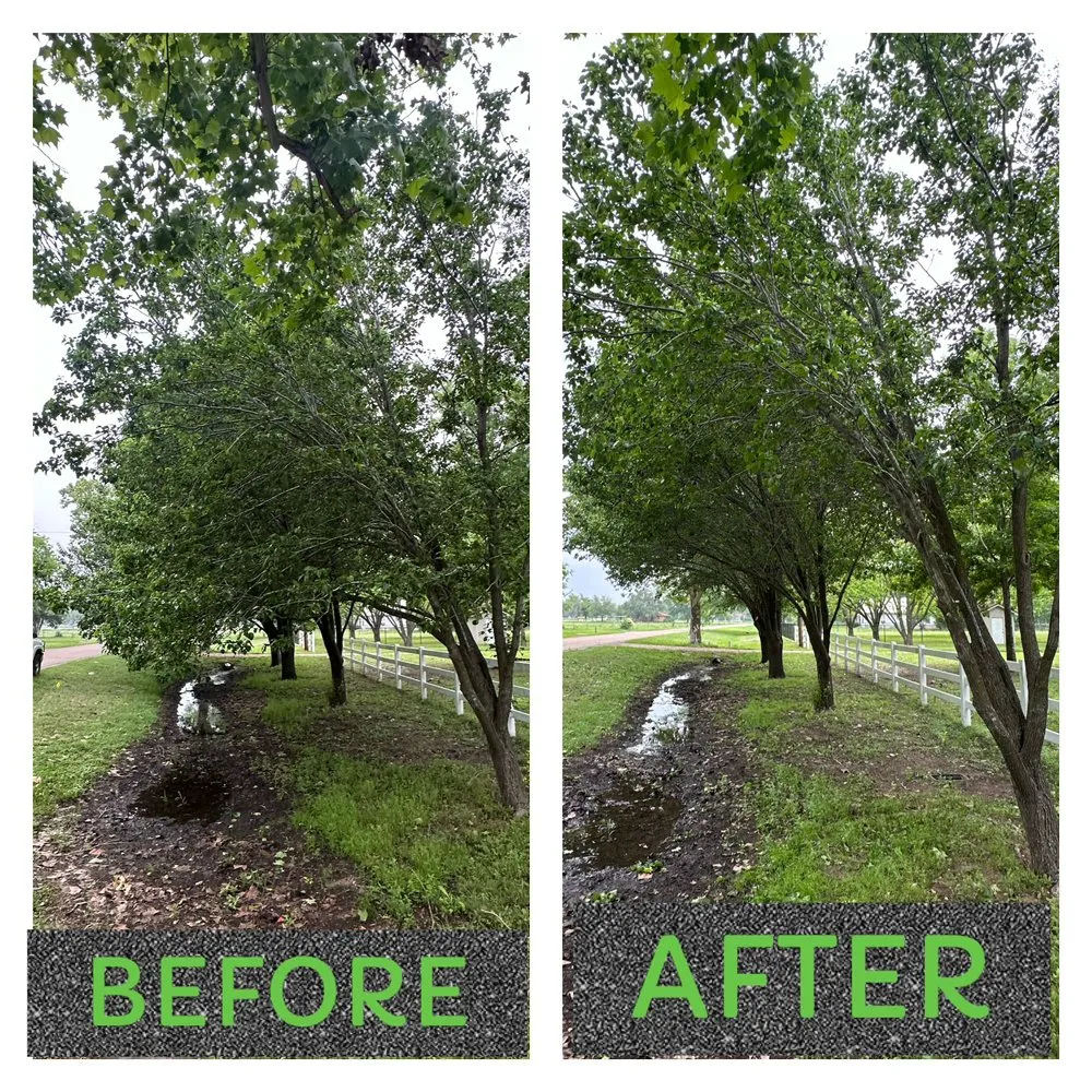 Trusted lawn care service for outdoor upgrades across Waco, TX - Heavenly Tree And Lawn Care