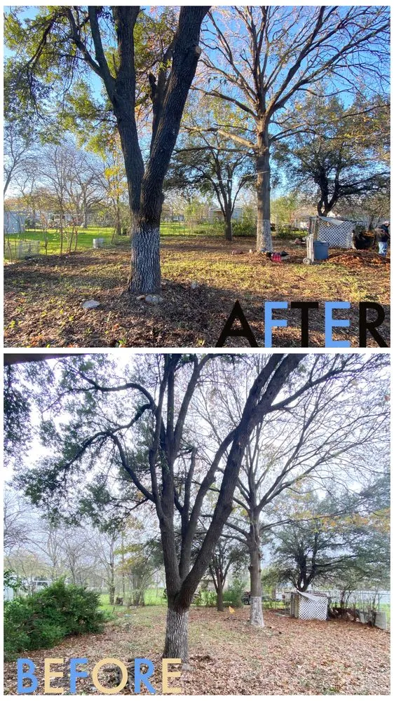 Affordable residential landscaping for homes in Waco, TX by Heavenly Tree And Lawn Care