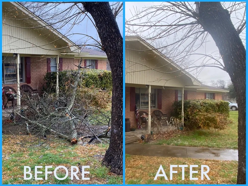 Professional yard maintenance experts serving Waco, TX - Heavenly Tree And Lawn Care