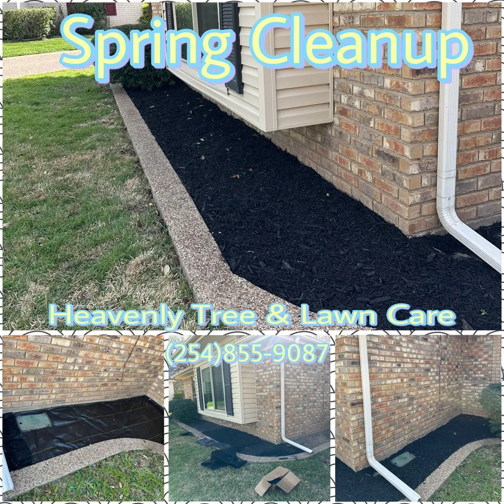 Expert outdoor landscaping experts serving Waco, TX - Heavenly Tree And Lawn Care