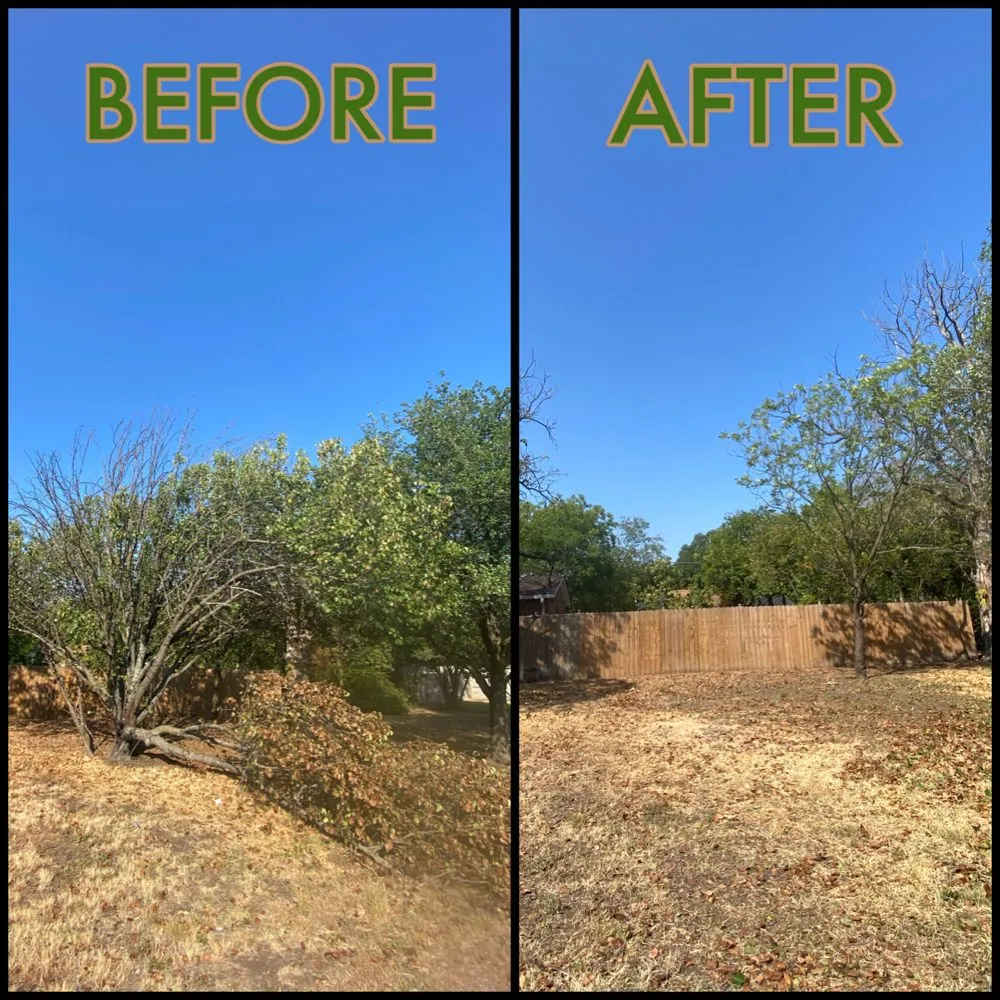 Top-rated lawn mowing service with custom design in Waco, TX by Heavenly Tree And Lawn Care