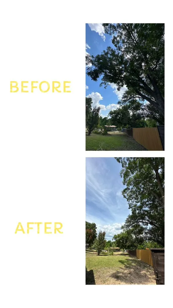 Top-rated landscape design for beautiful yards in Waco, TX by Heavenly Tree And Lawn Care